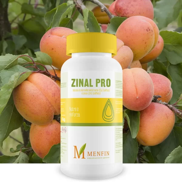 Zinal Pro - Menfin