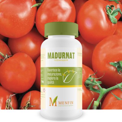Madurnat - Menfin