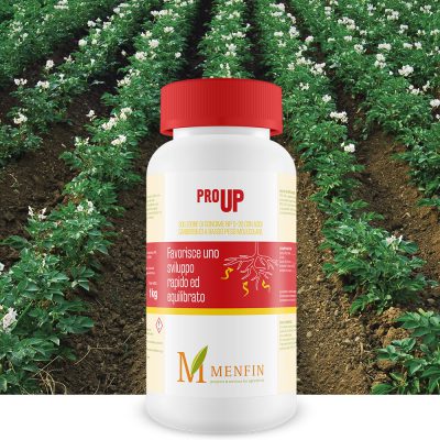 Pro-Up - Menfin