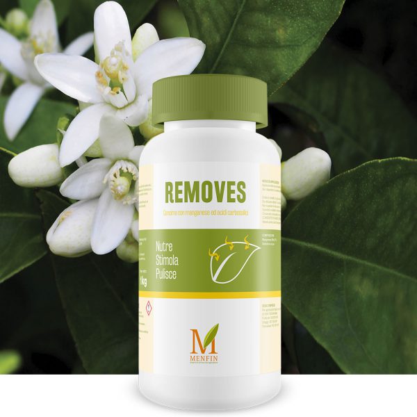 Removes - Menfin